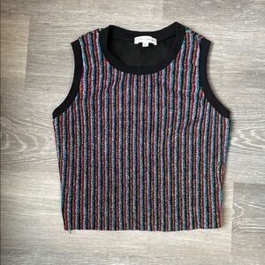 Daily Special Multicolor Metallic Striped Fitted Crop Tank Top